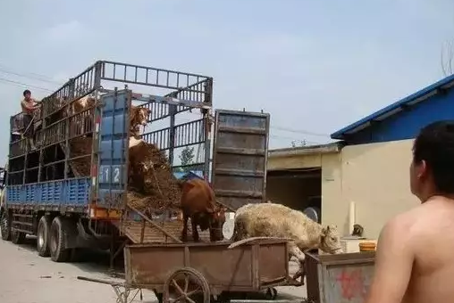 怎样快速解决水土不服 ABUIABAEGAAg6ojKzwUowoWG5gcw-AM41AI.png